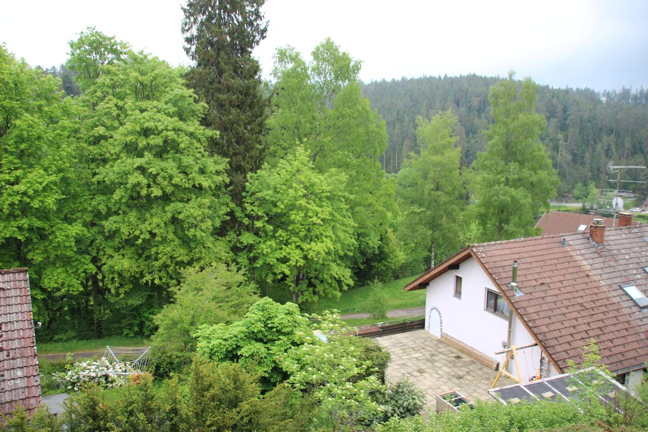 Kuckucksnester Friedenweiler Exteriér fotografie